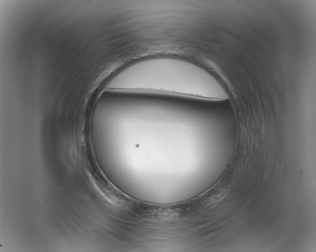 X0000062640443200512211012