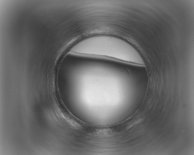 X0000062640446200512211012