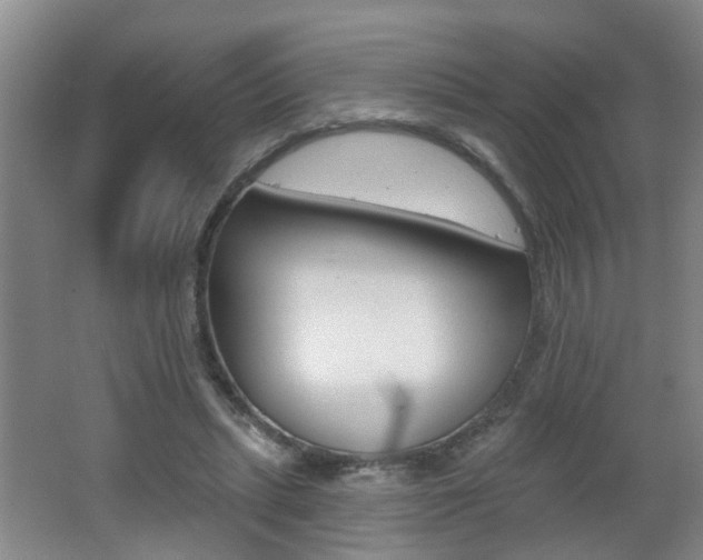 X0000062640447200512211012