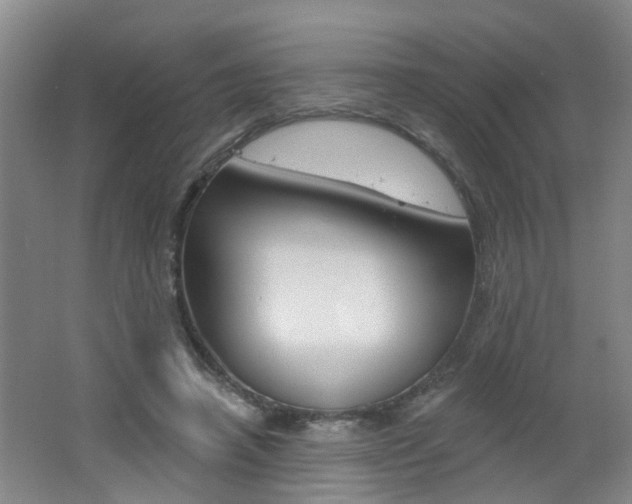 X0000062640450200512211012