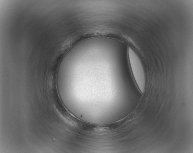 X0000062640451200512211012
