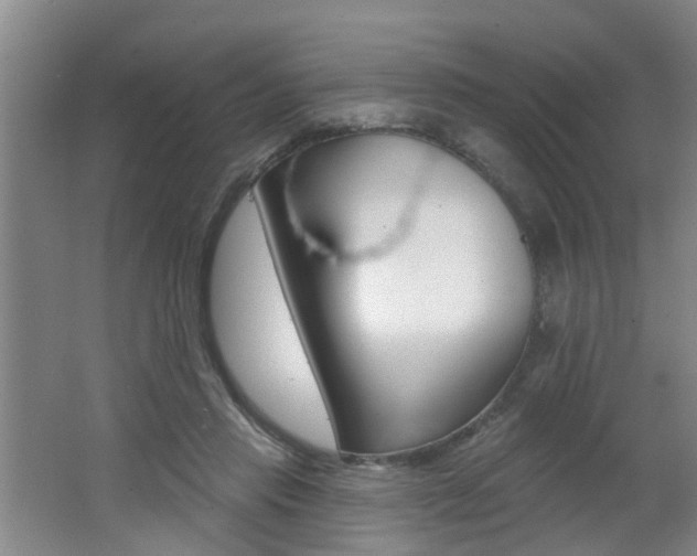 X0000062640453200512211012