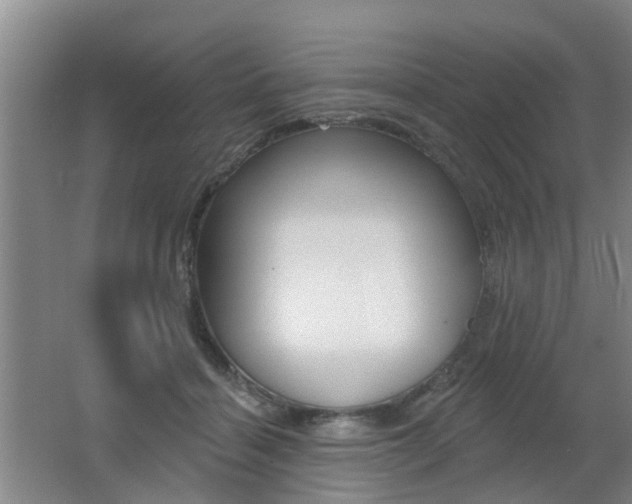 X0000062640460200512211012
