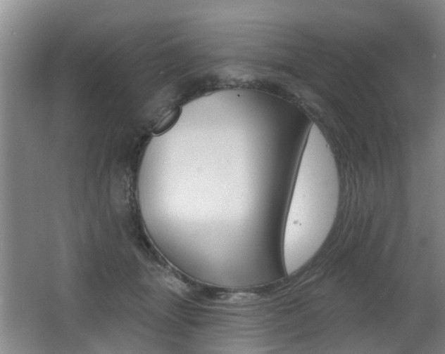 X0000062640463200512211012