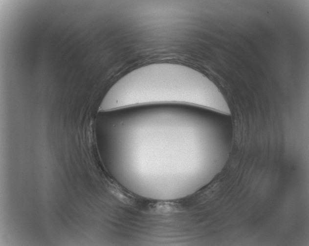 X0000062640475200512211012