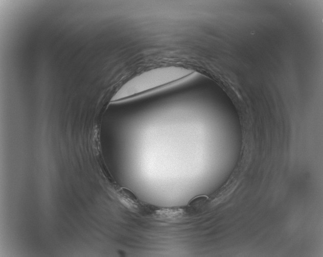 X0000062640480200512211012