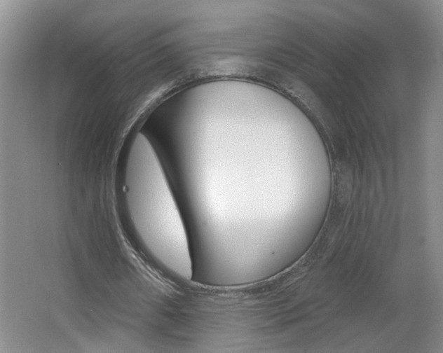 X0000062640482200512211011