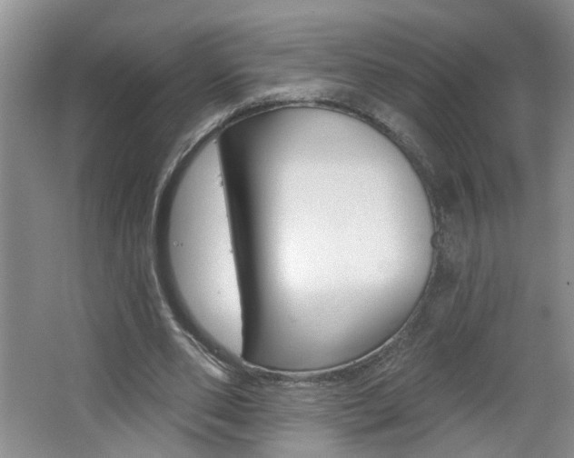 X0000062640486200512211011