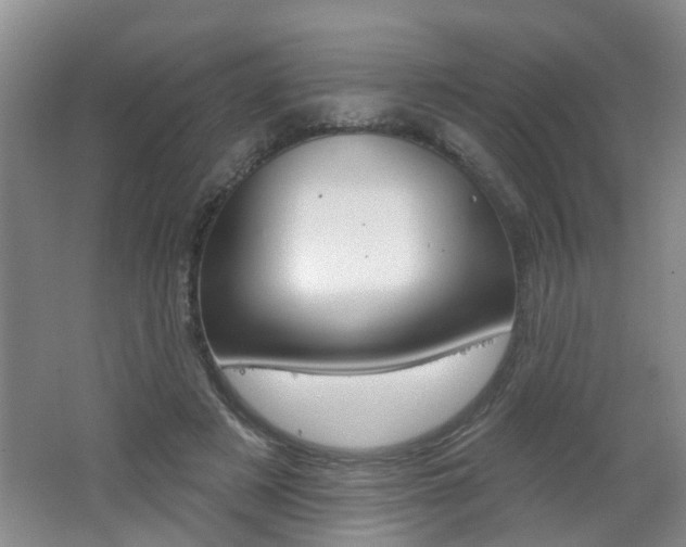X0000062640497200512211011