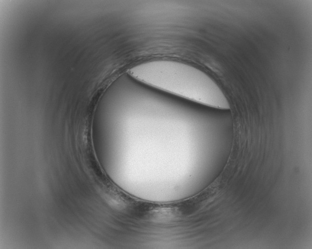 X0000062640499200512211011