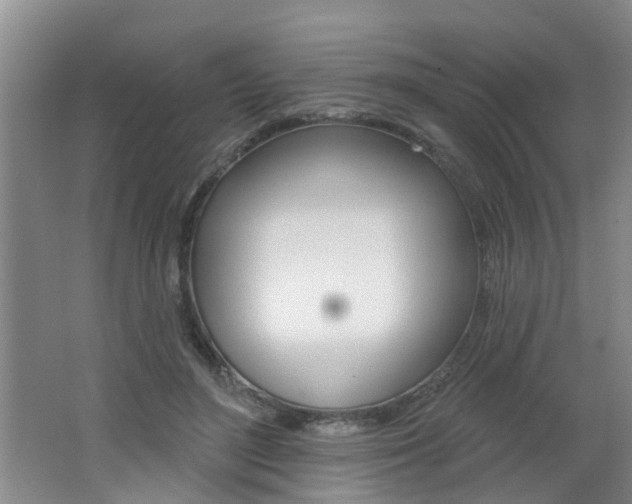 X0000062640500200512211011