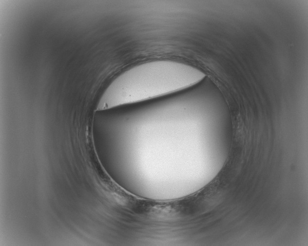 X0000062640502200512211011