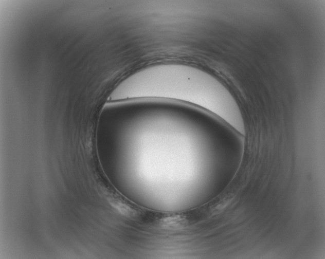 X0000062640505200512211011