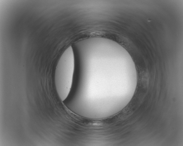 X0000062640506200512211011