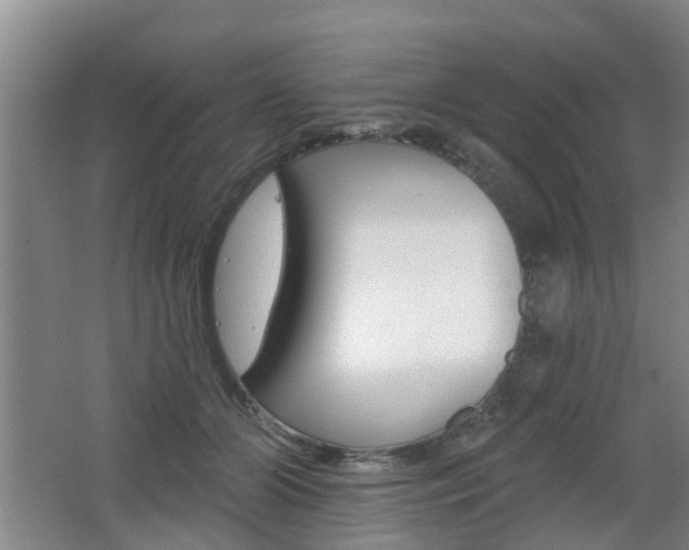 X0000062640510200512211011