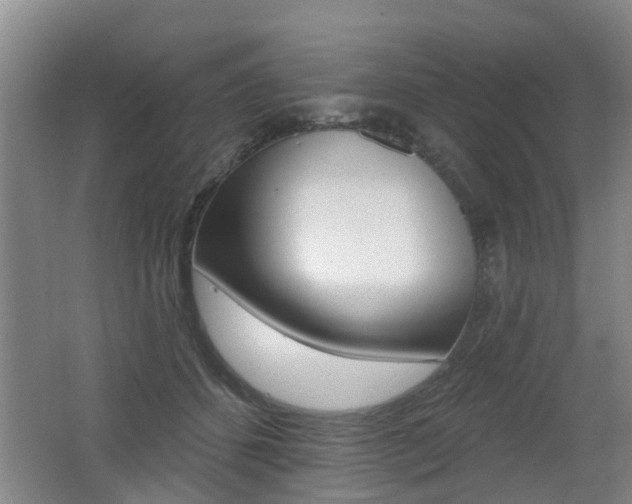 X0000062640512200512211011