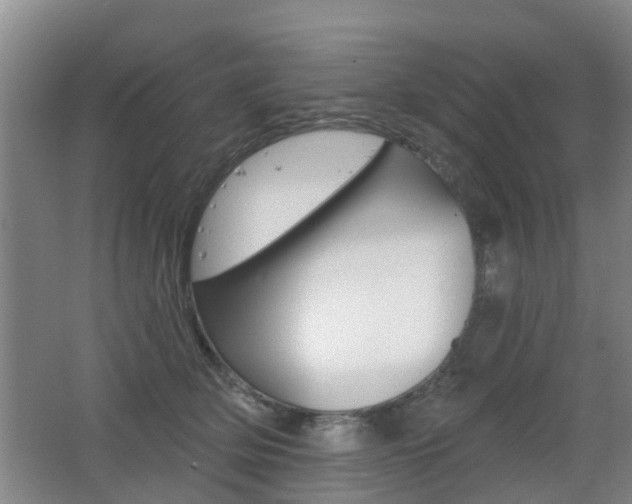 X0000062640514200512211011