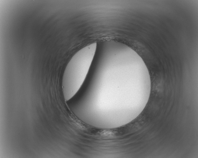 X0000062640518200512211011