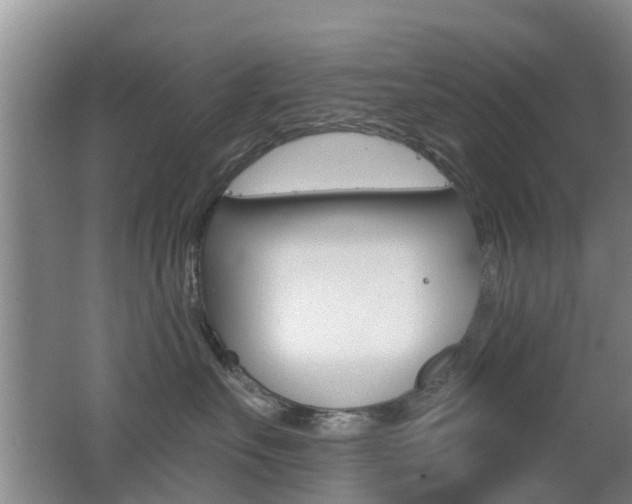 X0000062640527200512211011