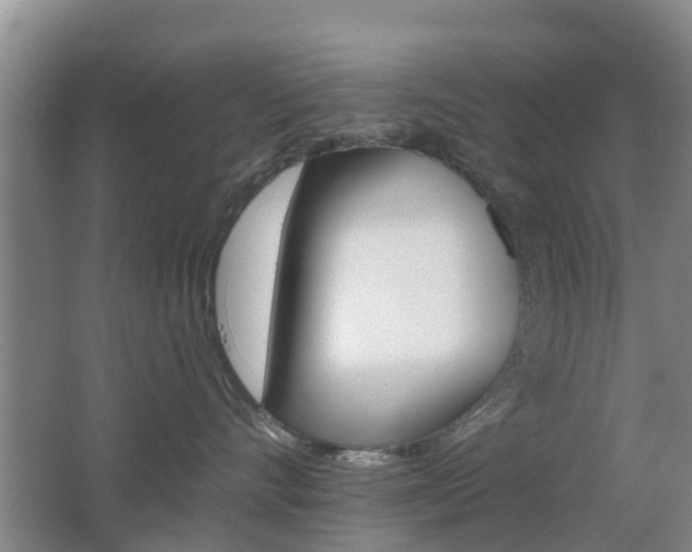 X0000062640528200512211011