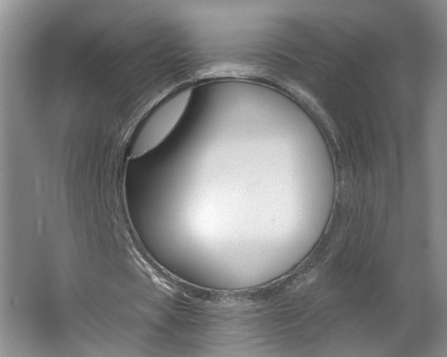 X0000062640529200512211010