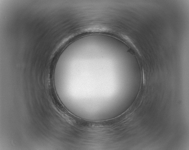 X0000062640531200512211010