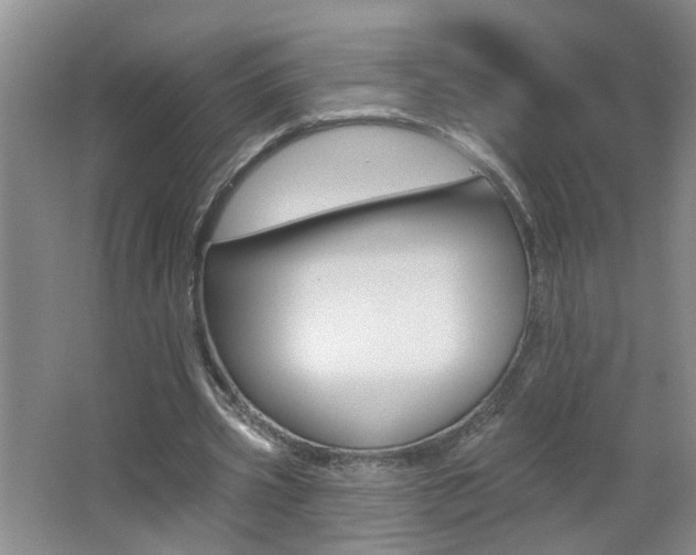 X0000062640533200512211010