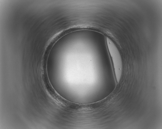 X0000062640536200512211010