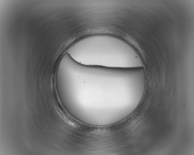 X0000062640537200512211010