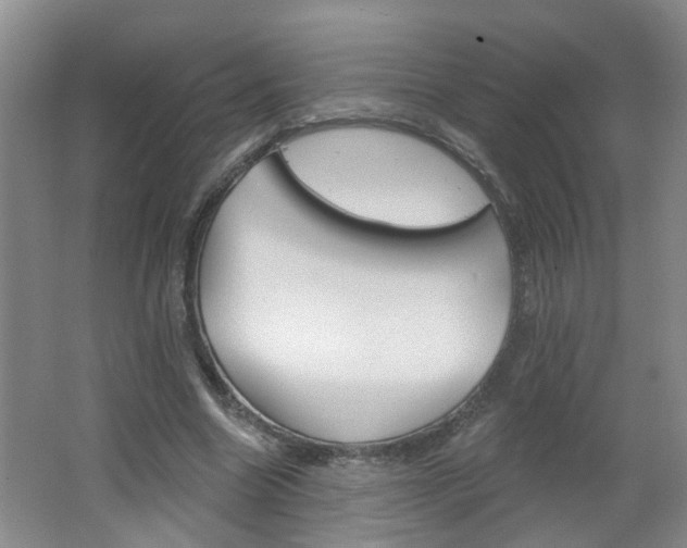 X0000062640538200512211010