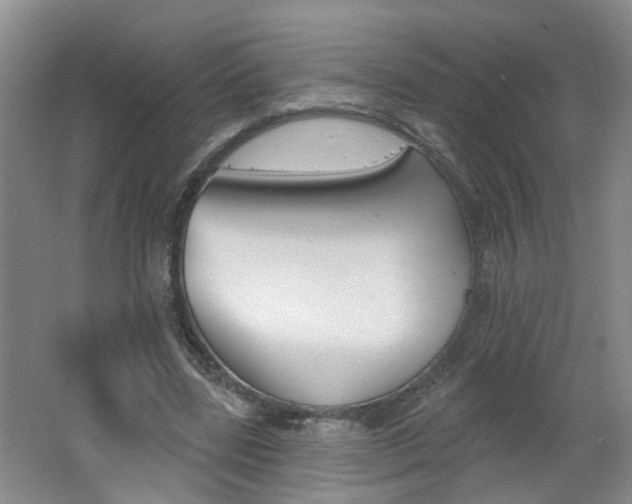X0000062640539200512211010