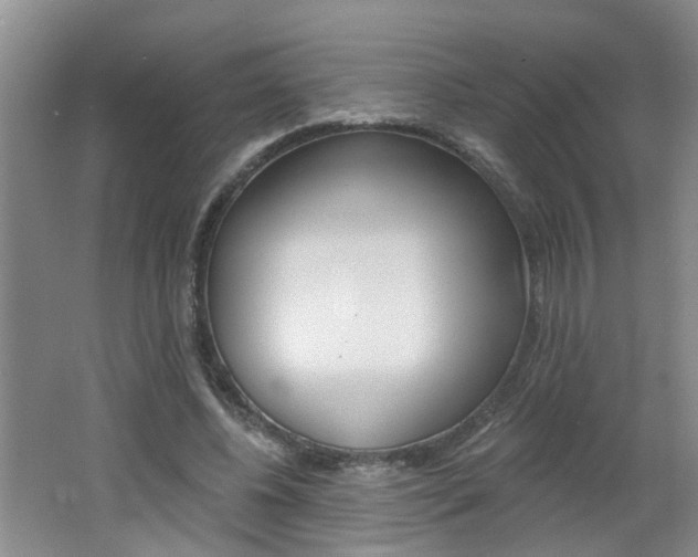 X0000062640540200512211010