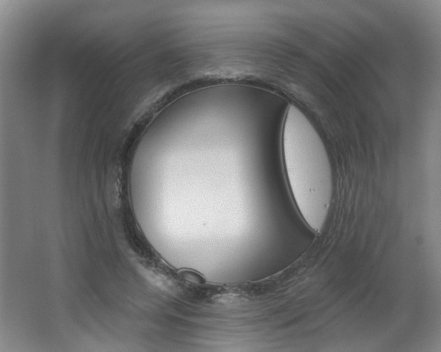 X0000062640544200512211010