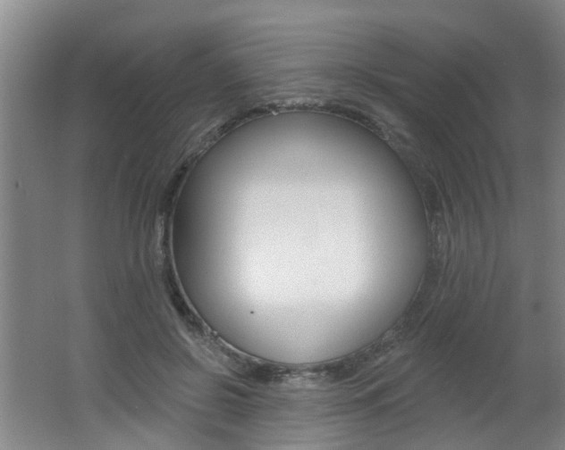 X0000062640550200512211010