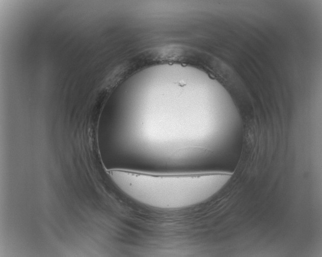 X0000062640551200512211010