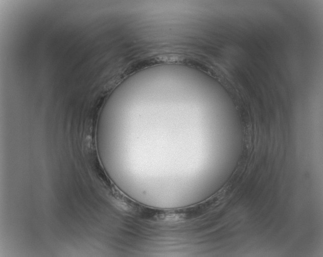 X0000062640553200512211010