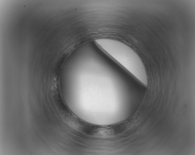 X0000062640555200512211010