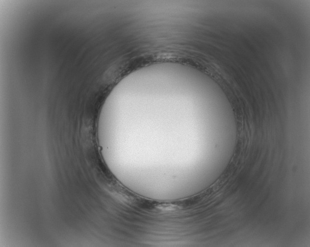 X0000062640557200512211010