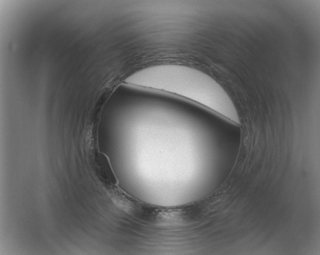 X0000062640560200512211010