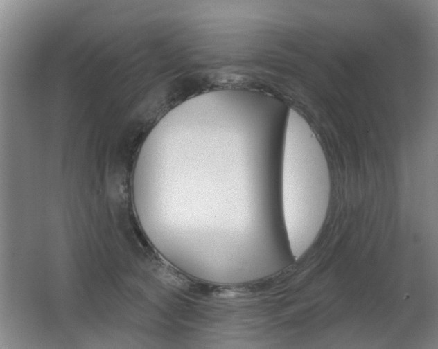 X0000062640561200512211010