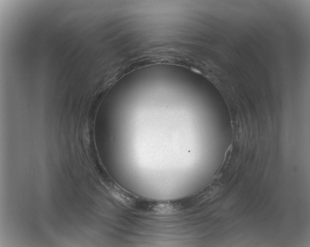 X0000062640562200512211010