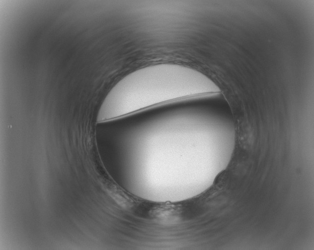 X0000062640563200512211010