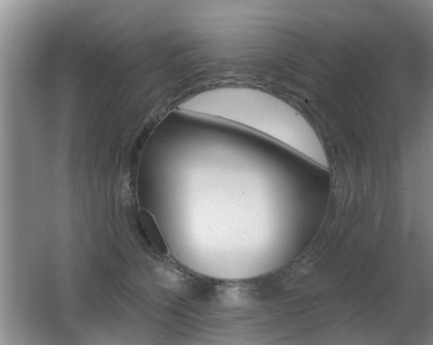 X0000062640564200512211010