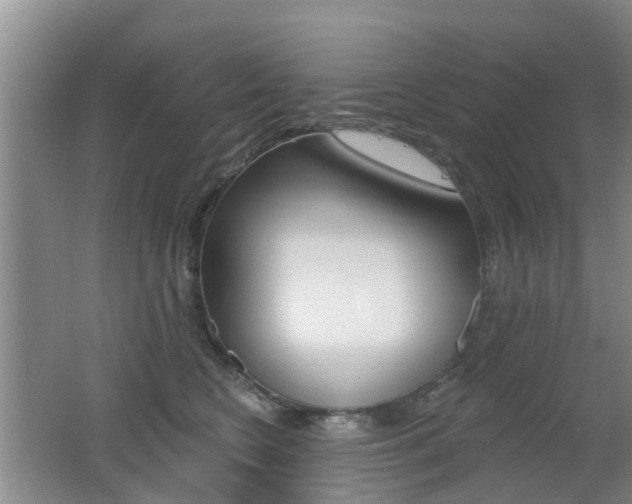 X0000062640566200512211010