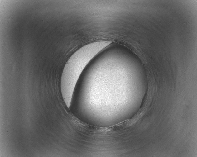 X0000062640576200512211011