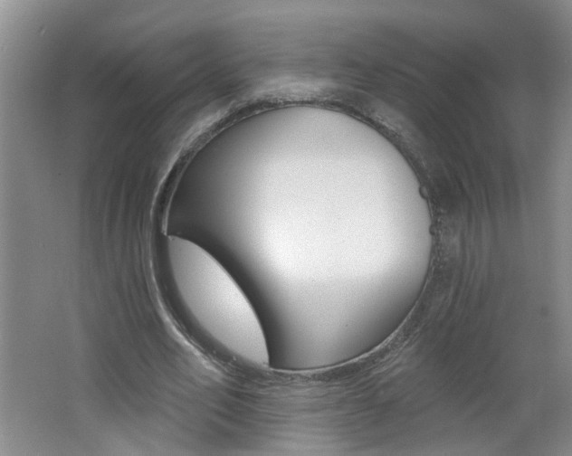 X0000062640582200512211010