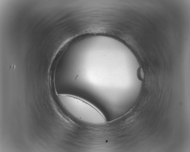 X0000062640584200512211010