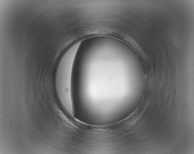 X0000062640585200512211010