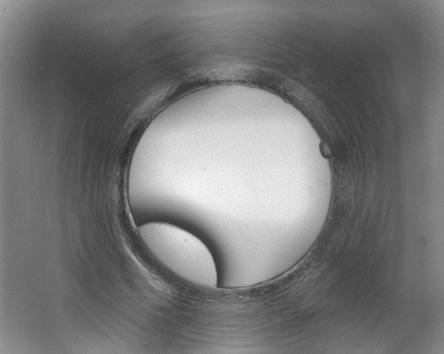 X0000062640586200512211010