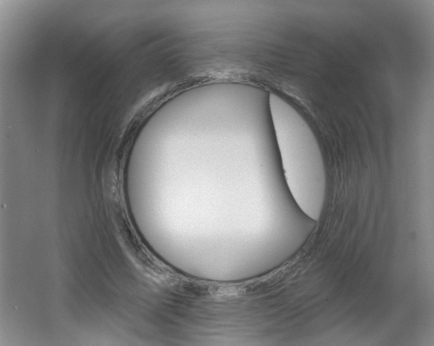 X0000062640587200512211010